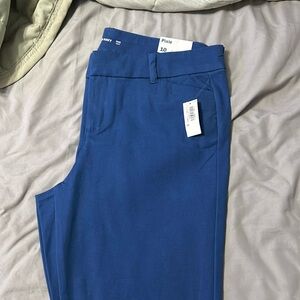 NWT - Blue Pixie Ankle Pants - Size 10